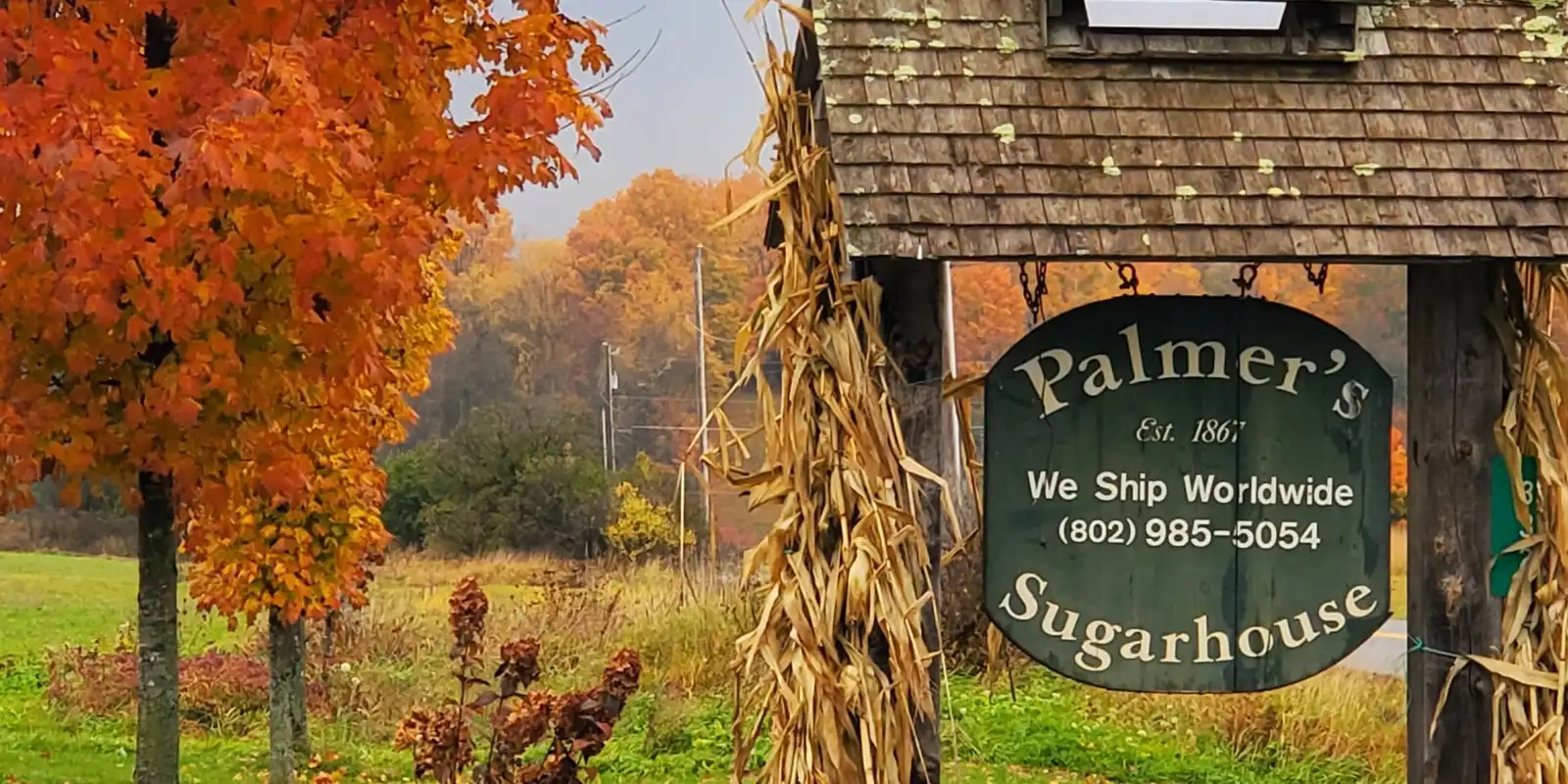 Palmer's signage in the fall